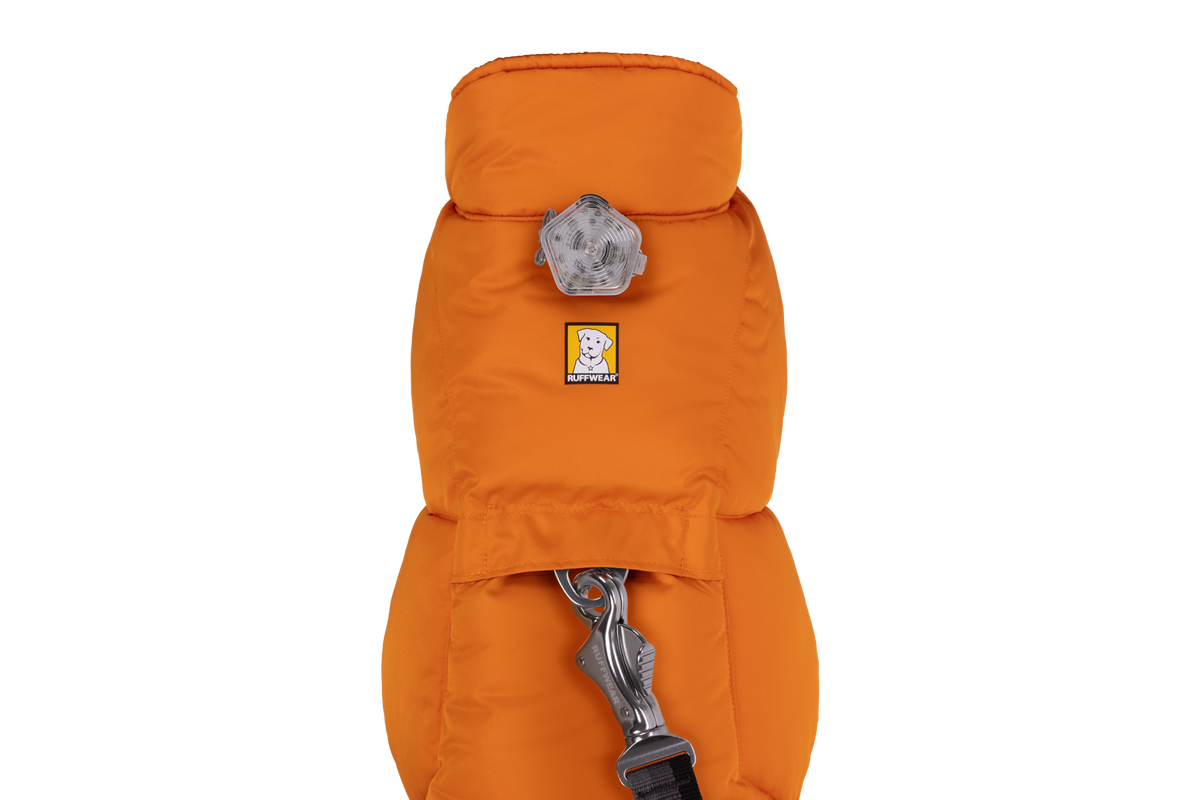 Quinzee™ Dog Vest product image