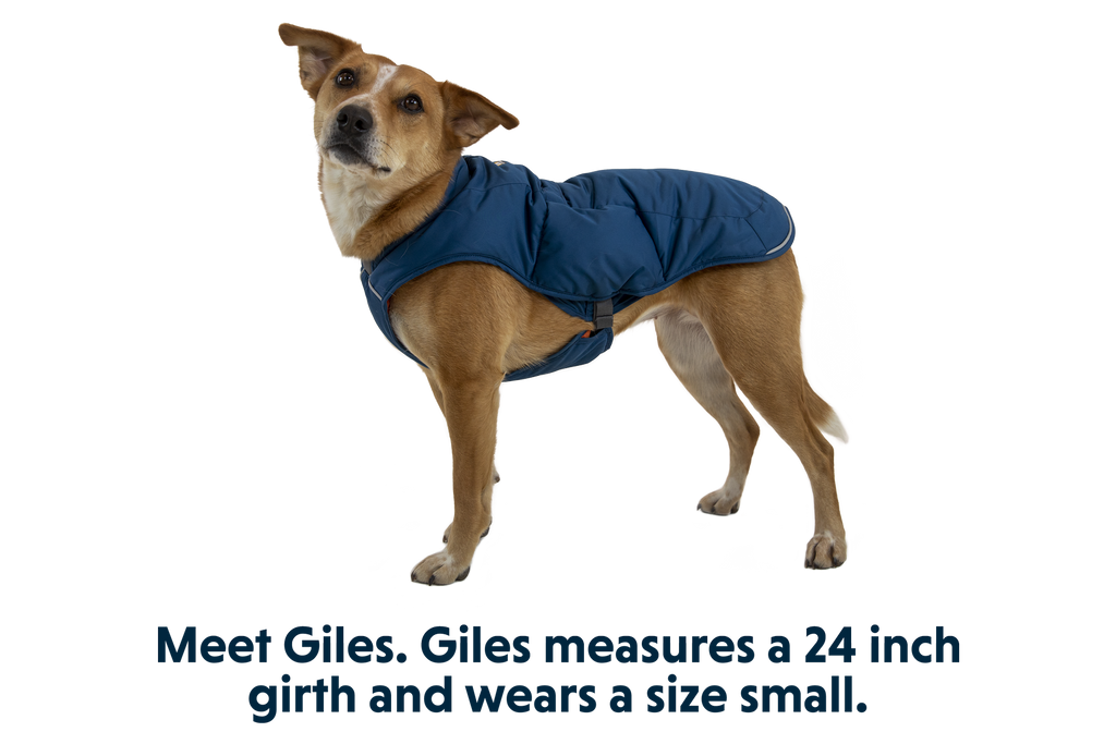 Quinzee™ Dog Vest product image