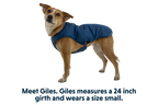 Quinzee™ Dog Vest product image