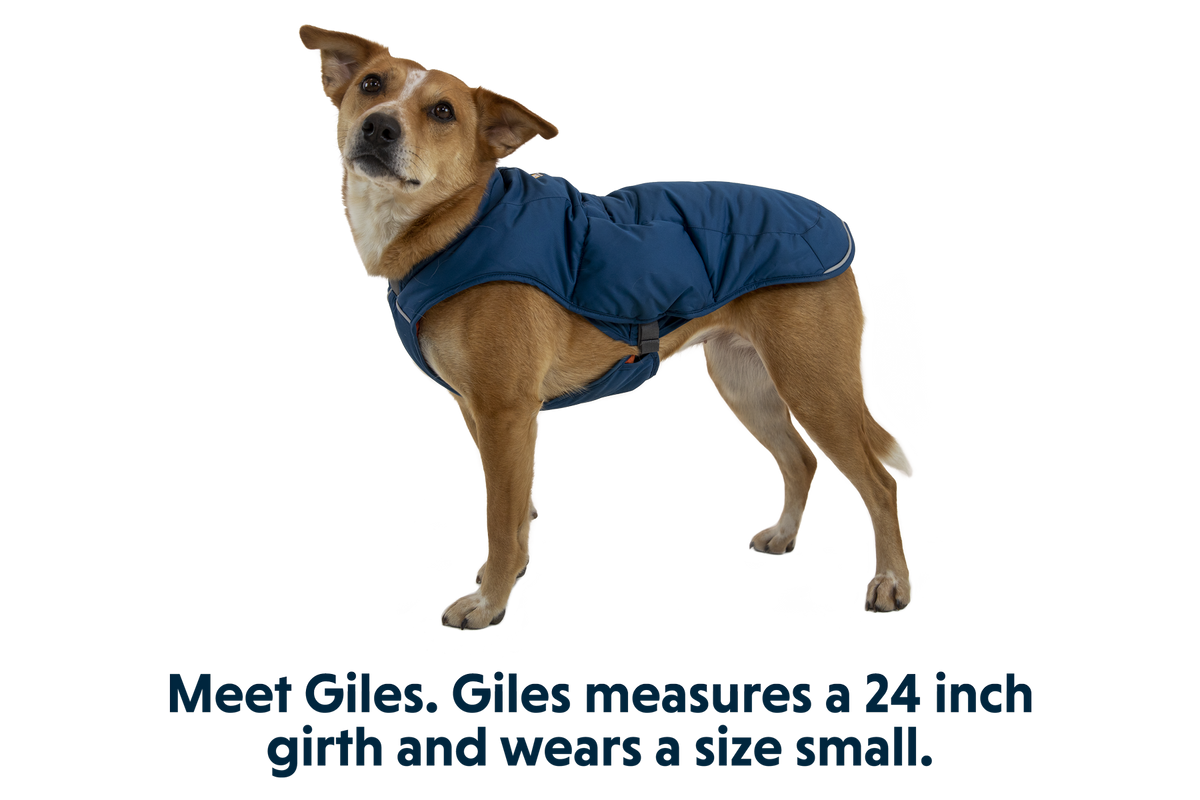 Quinzee™ Dog Vest product image