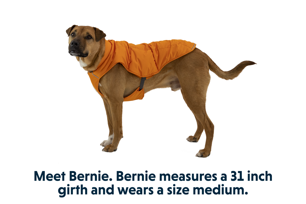Quinzee™ Dog Vest product image