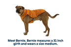 Quinzee™ Dog Vest product image