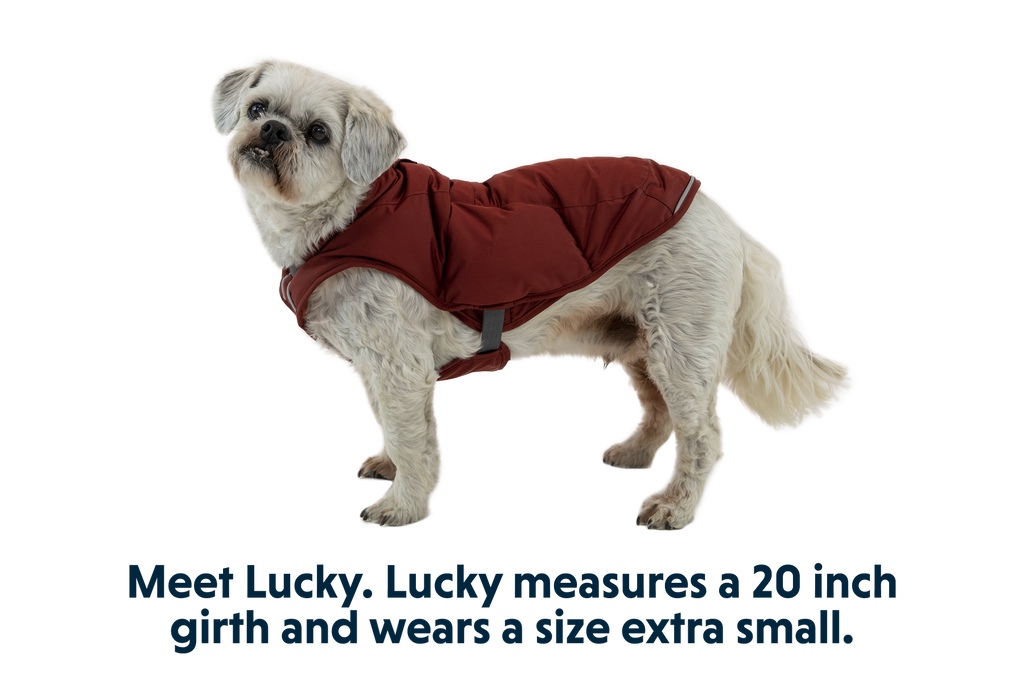 Quinzee™ Dog Vest product image