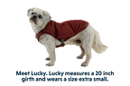 Quinzee™ Dog Vest product image