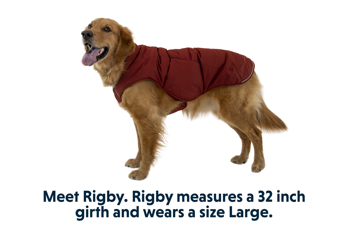 Quinzee™ Dog Vest product image