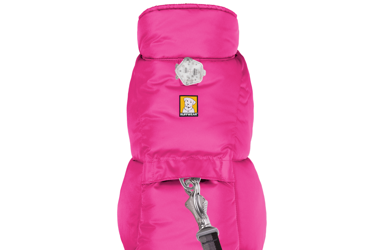 Quinzee™ Dog Vest product image