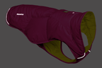 Quinzee™ Dog Vest product image