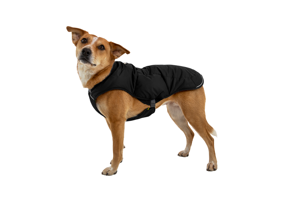 Quinzee™ Dog Vest product image