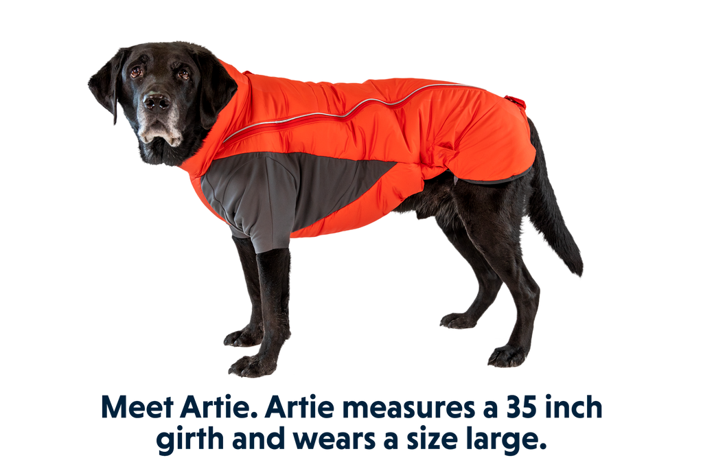 Furness™ Dog Jacket product image