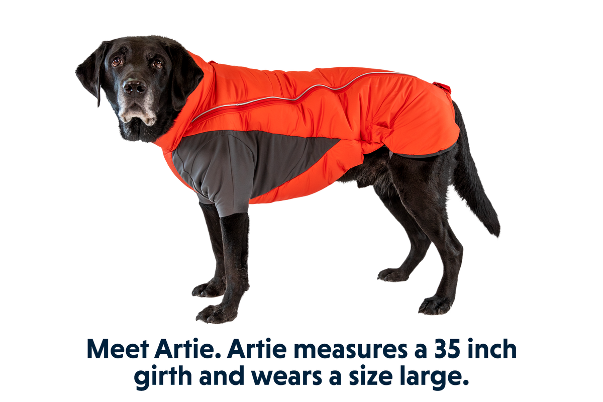 Furness™ Dog Jacket product image