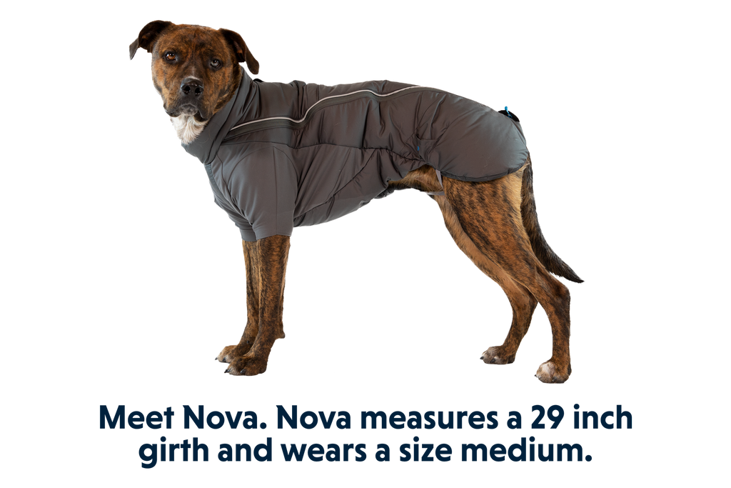 Furness™ Dog Jacket product image