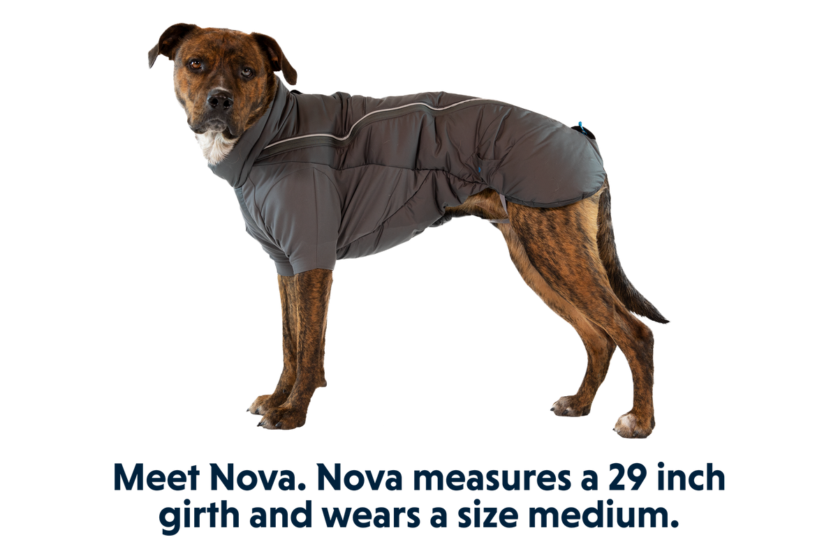 Furness™ Dog Jacket product image