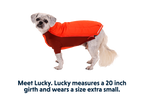 Powder Hound™ Dog Jacket product image