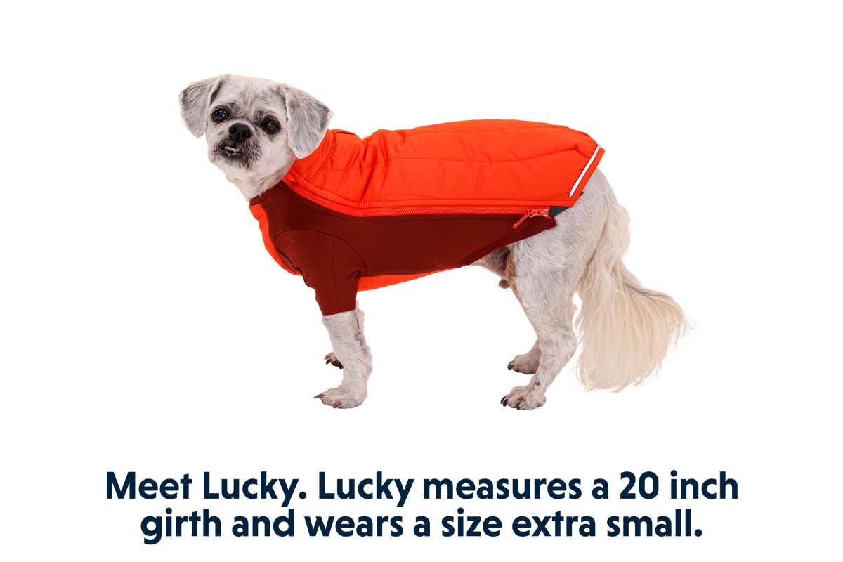 Powder Hound™ Dog Jacket product image