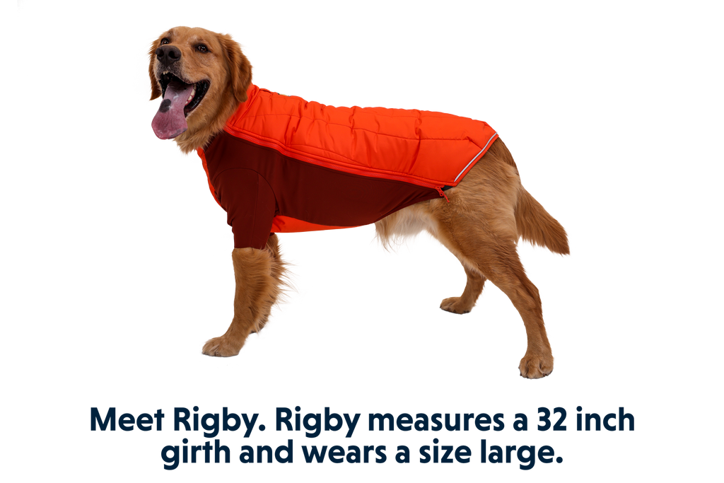 Powder Hound™ Dog Jacket product image