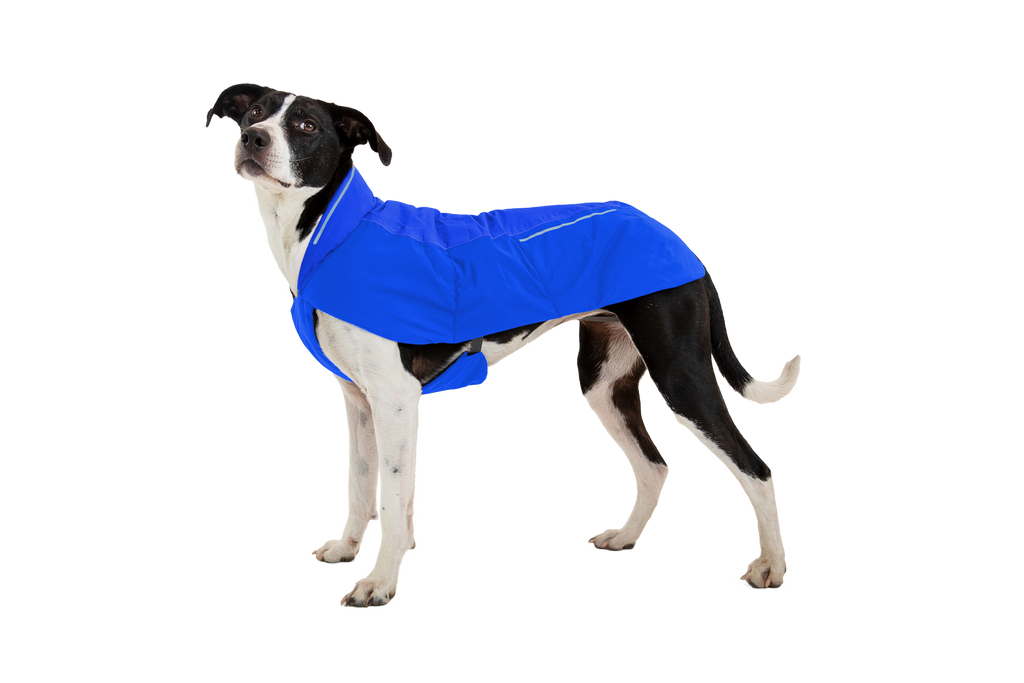 Vert™ Dog Vest product image