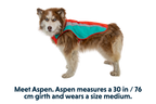 Lumenglow™ Hi-Vis Dog Vest product image