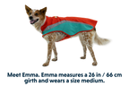 Lumenglow™ Hi-Vis Dog Vest product image