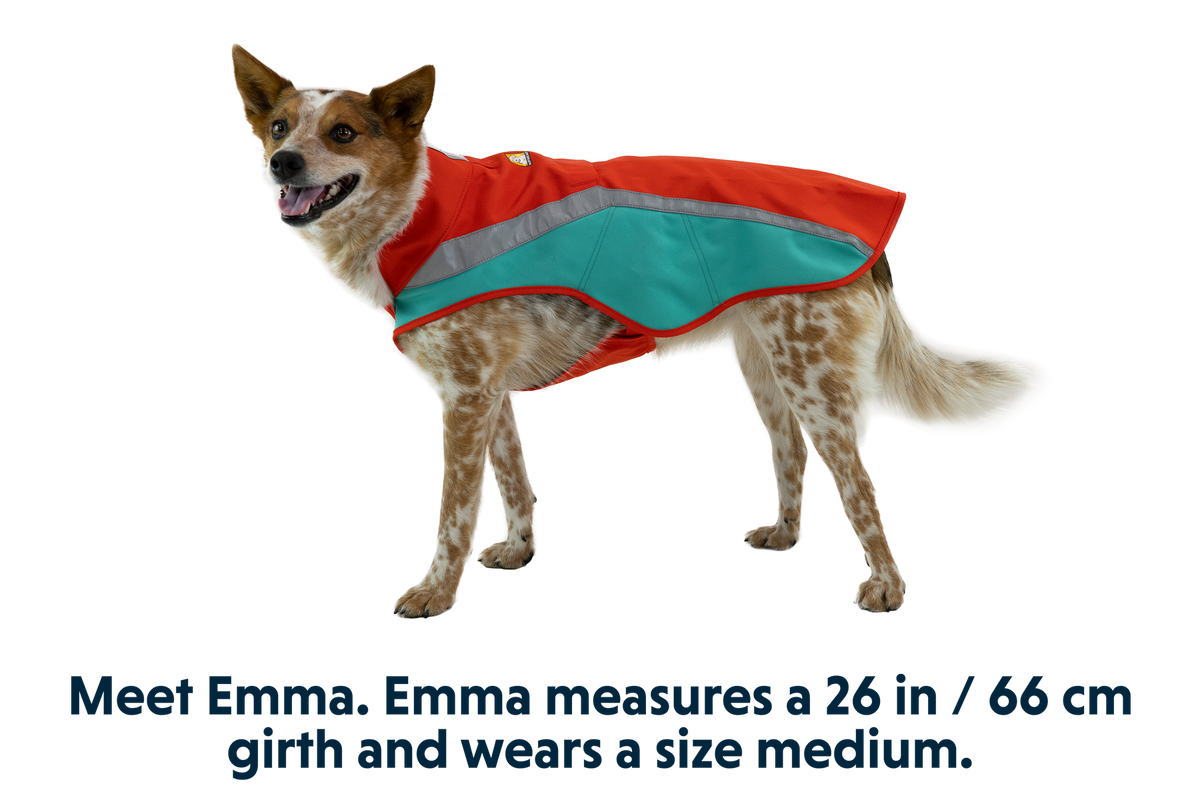 Lumenglow™ Hi-Vis Dog Vest product image