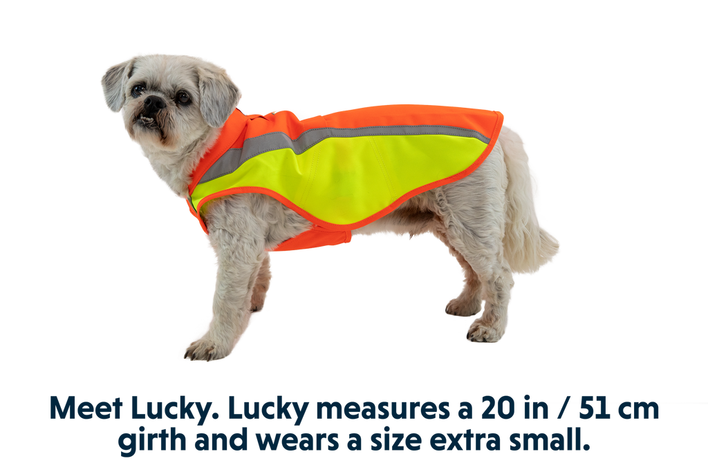 Lumenglow™ Hi-Vis Dog Vest product image