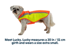 Lumenglow™ Hi-Vis Dog Vest product image
