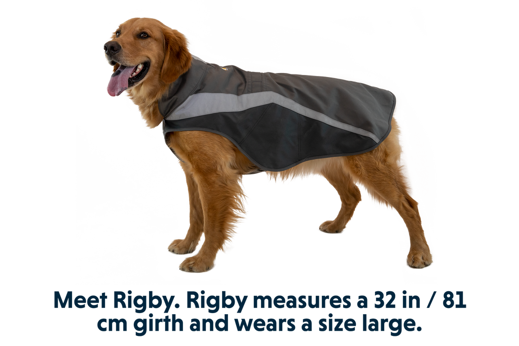 Lumenglow™ Hi-Vis Dog Vest product image