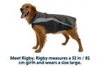 Lumenglow™ Hi-Vis Dog Vest product image