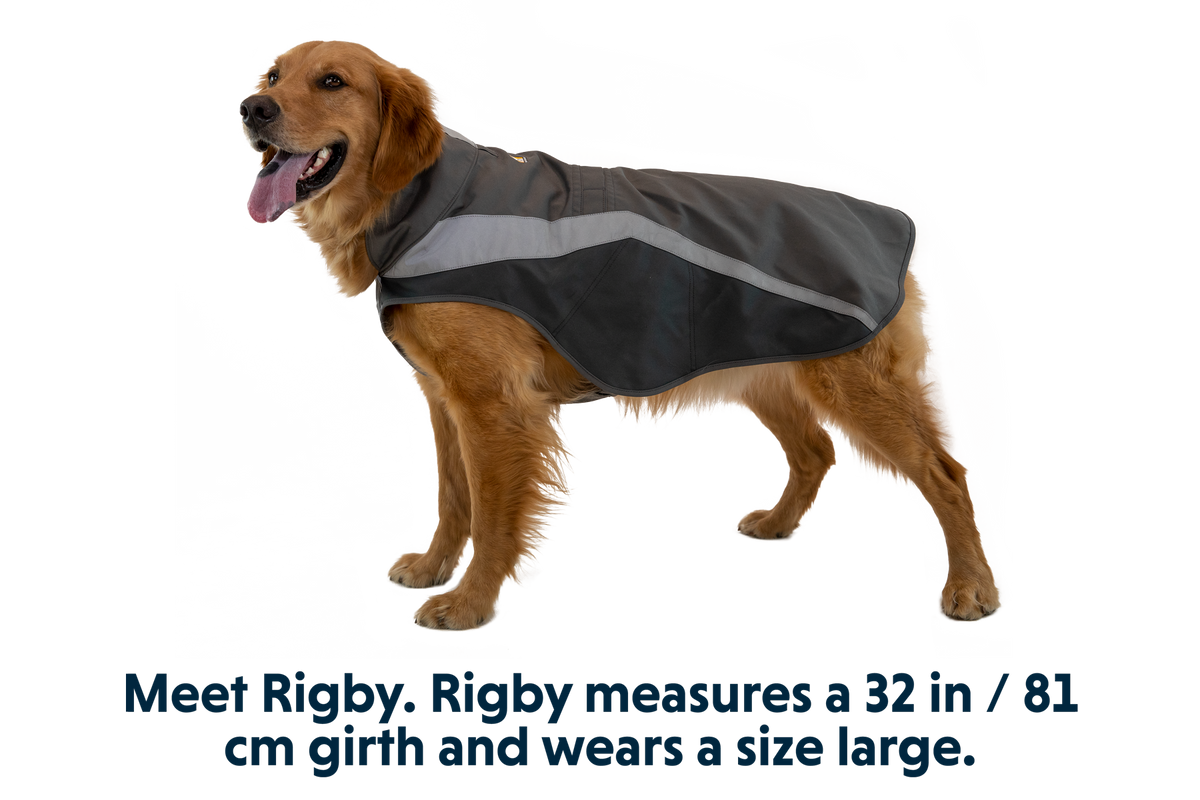 Lumenglow™ Hi-Vis Dog Vest product image
