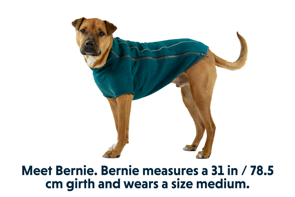 Fernie™ Dog Sweater product image