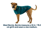 Fernie™ Dog Sweater product image