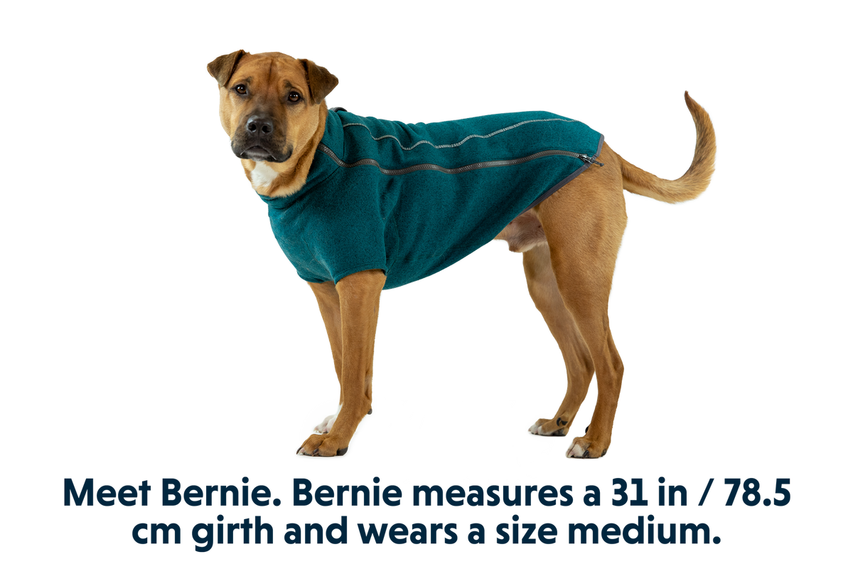 Fernie™ Dog Sweater product image