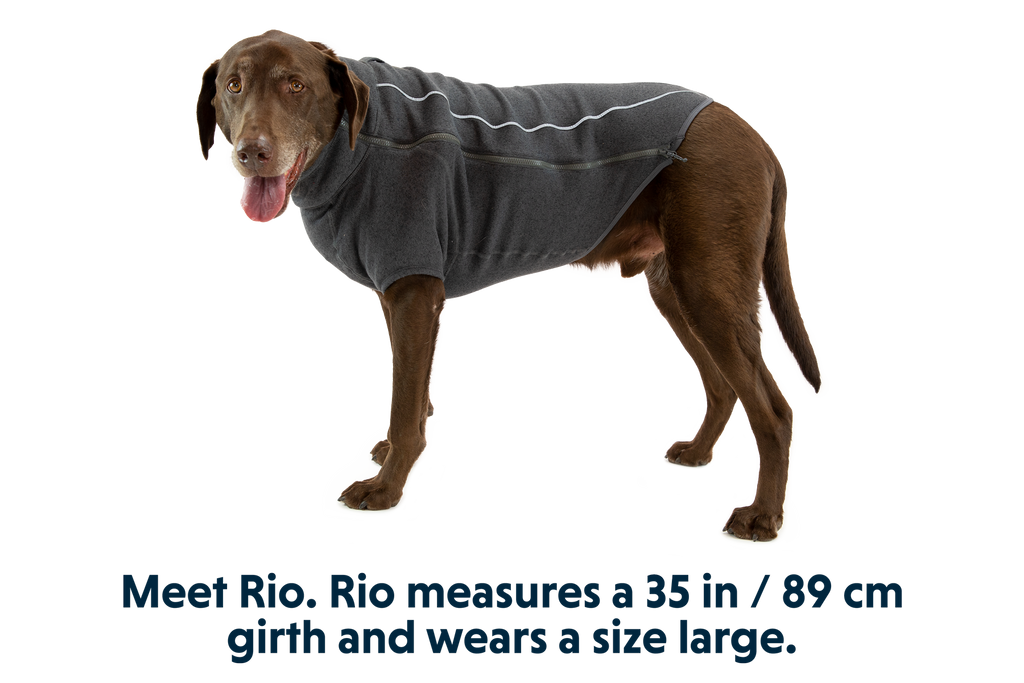 Fernie™ Dog Sweater product image