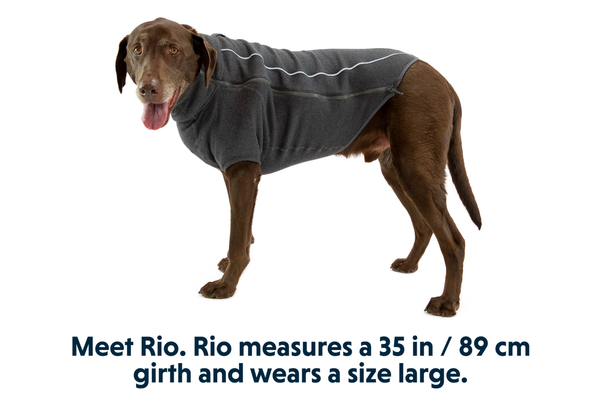 Fernie™ Dog Sweater product image