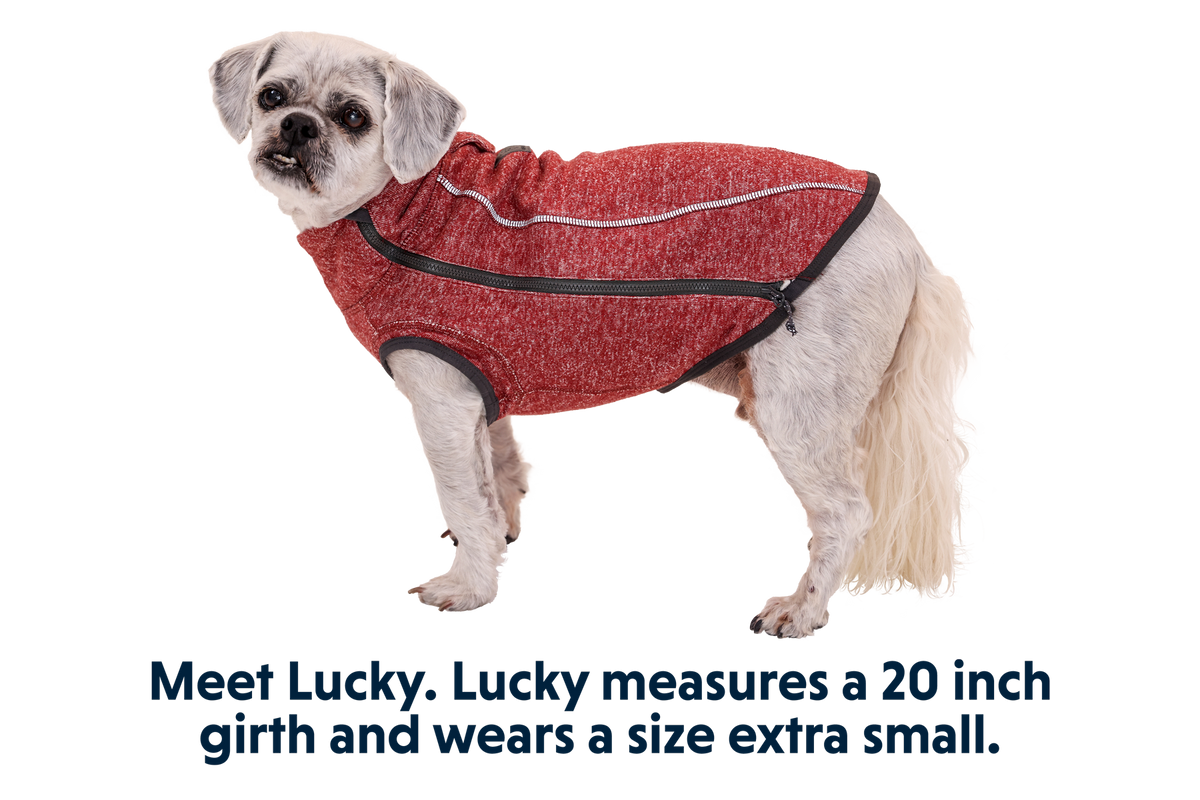 Hemp Hound™ Dog Sweater product image