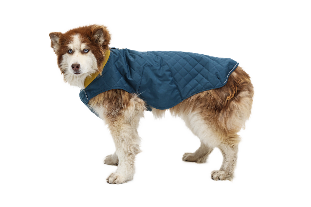 Stumptown™ Quilted Dog Vest product image