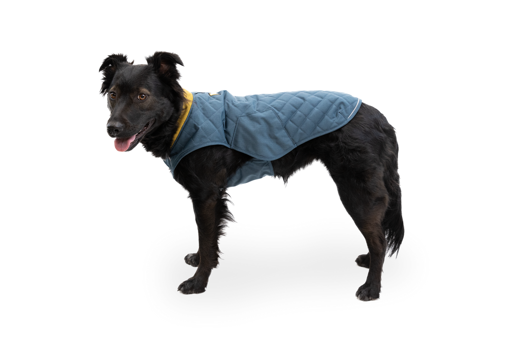 Stumptown™ Quilted Dog Vest product image