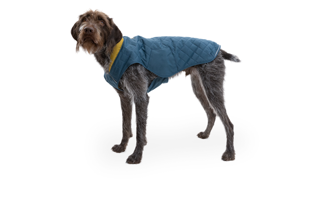 Stumptown™ Quilted Dog Vest product image