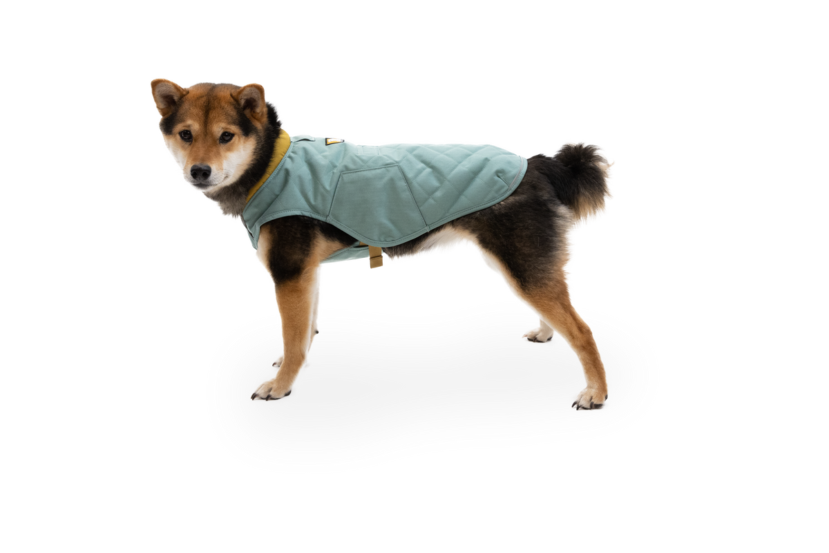 Stumptown™ Quilted Dog Vest product image