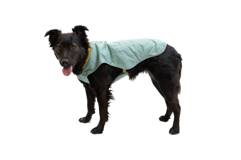 Stumptown™ Quilted Dog Vest product image