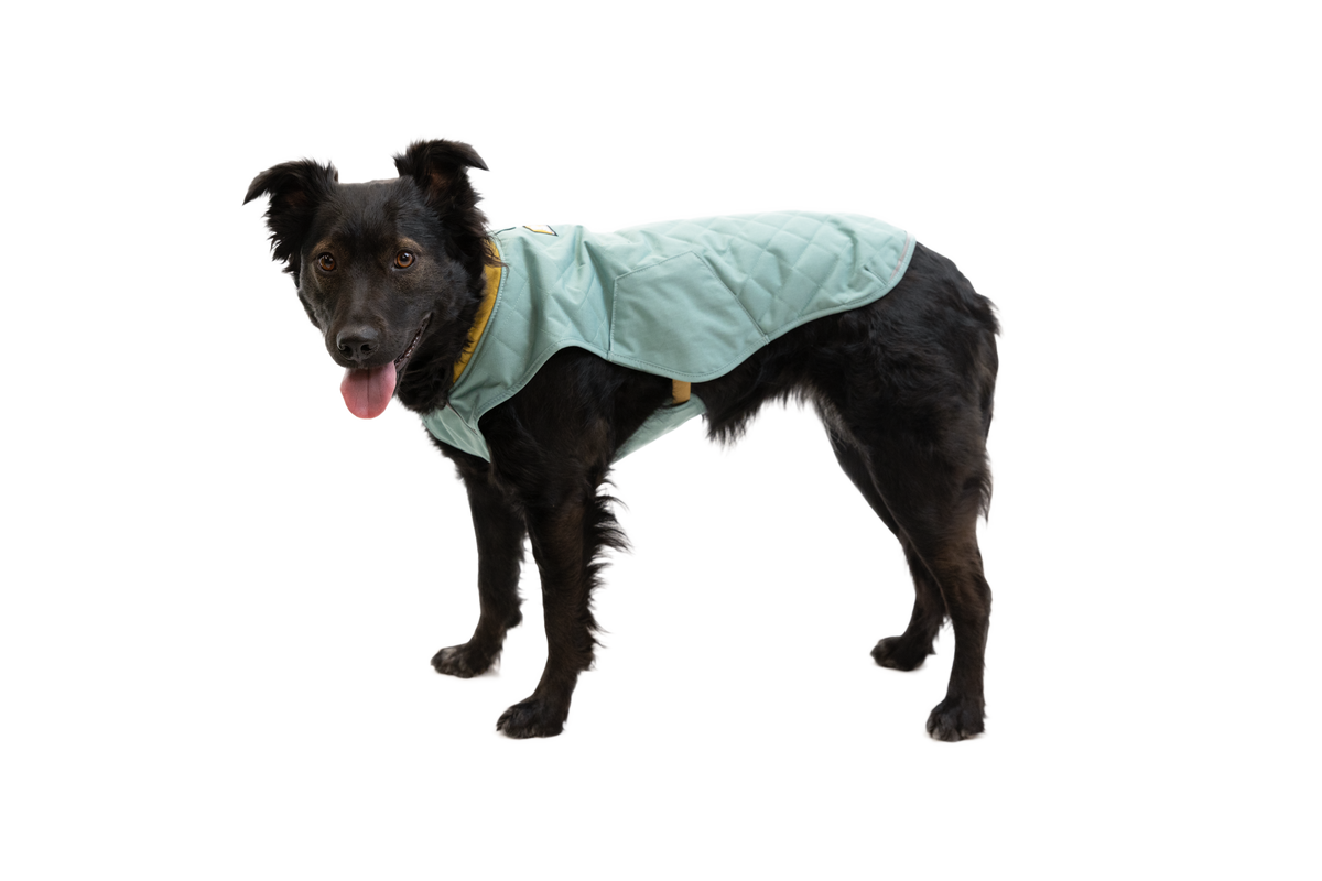 Stumptown™ Quilted Dog Vest product image