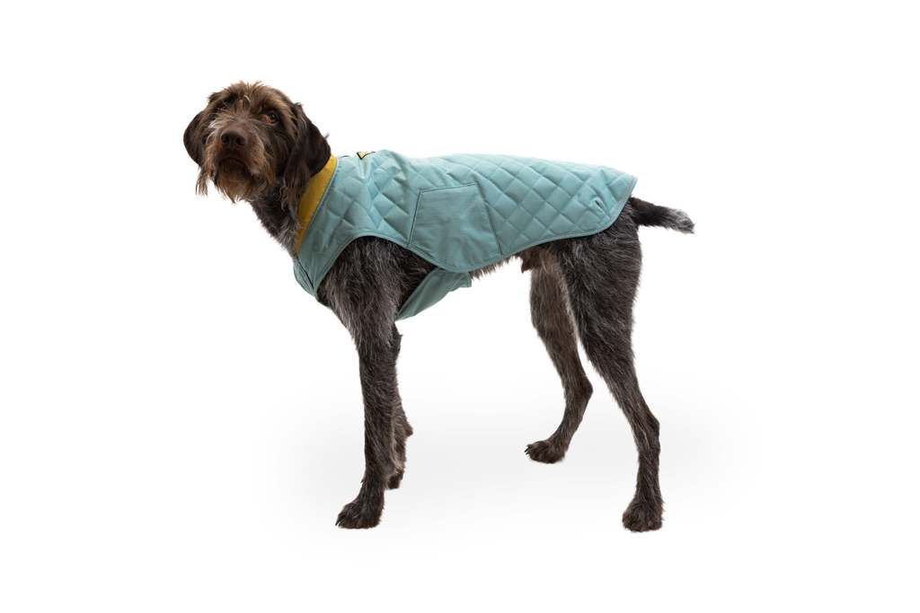 Stumptown™ Quilted Dog Vest product image