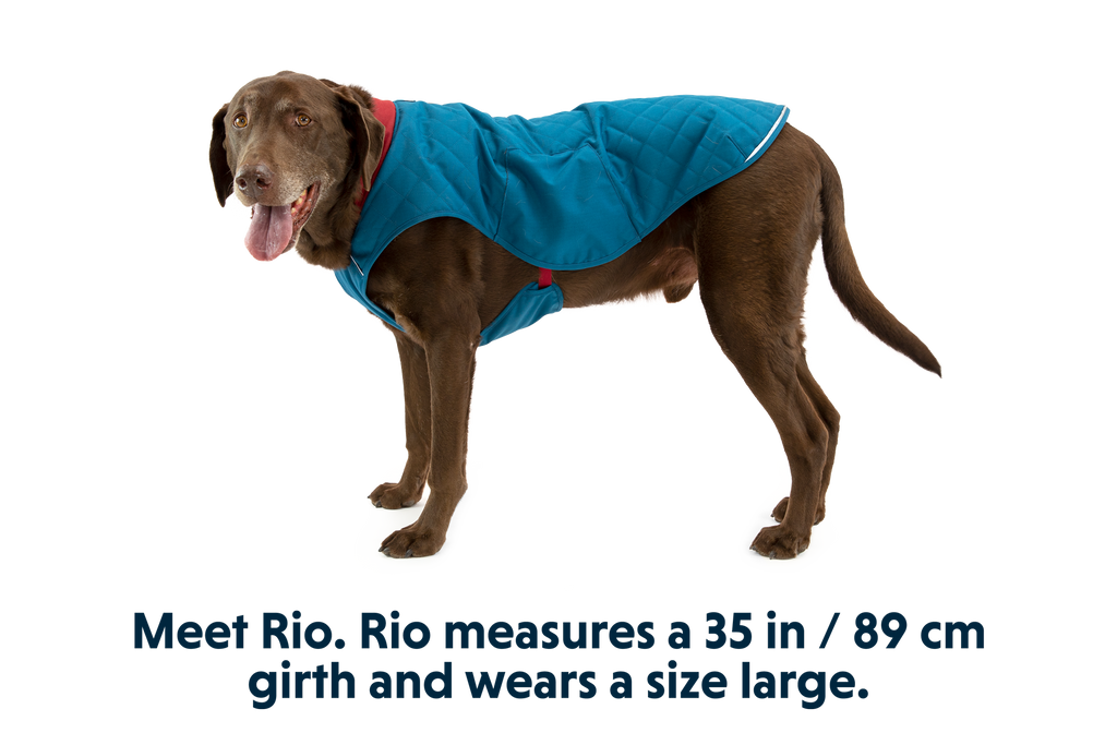 Stumptown™ Quilted Dog Vest product image
