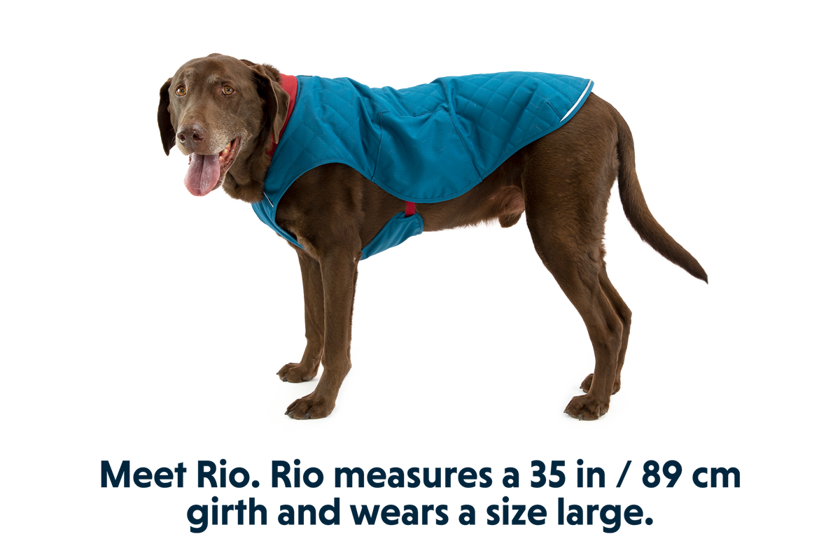 Stumptown™ Quilted Dog Vest product image