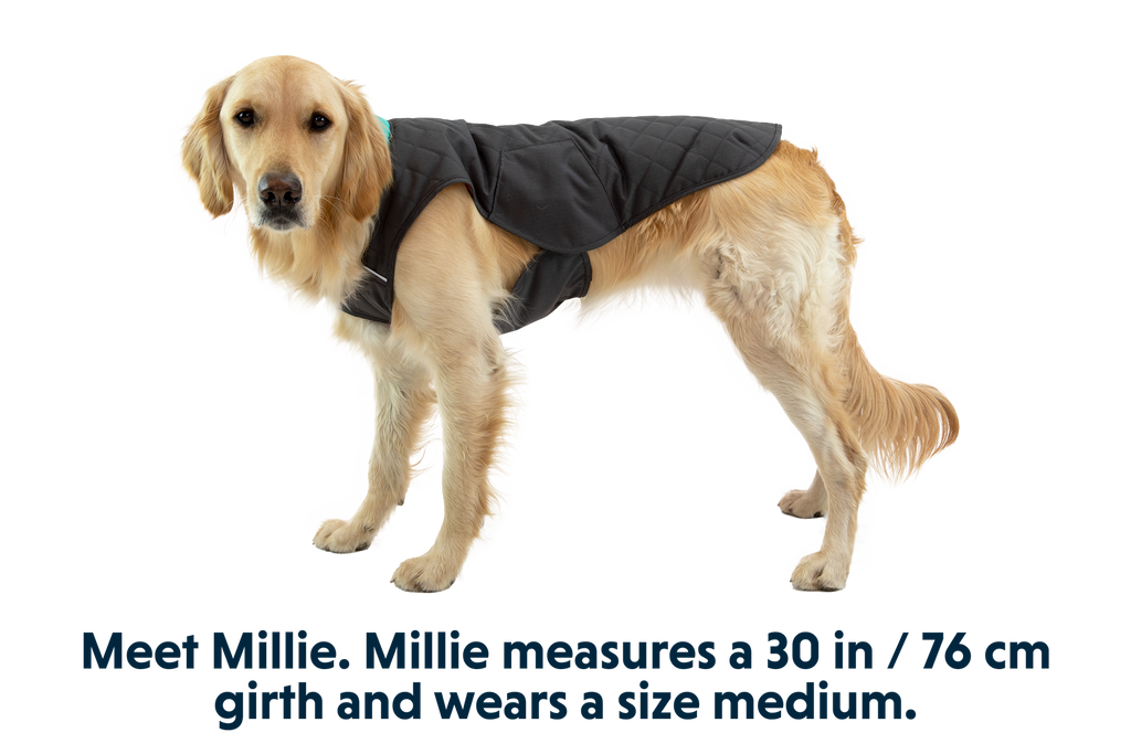 Stumptown™ Quilted Dog Vest product image