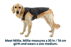 Stumptown™ Quilted Dog Vest product image