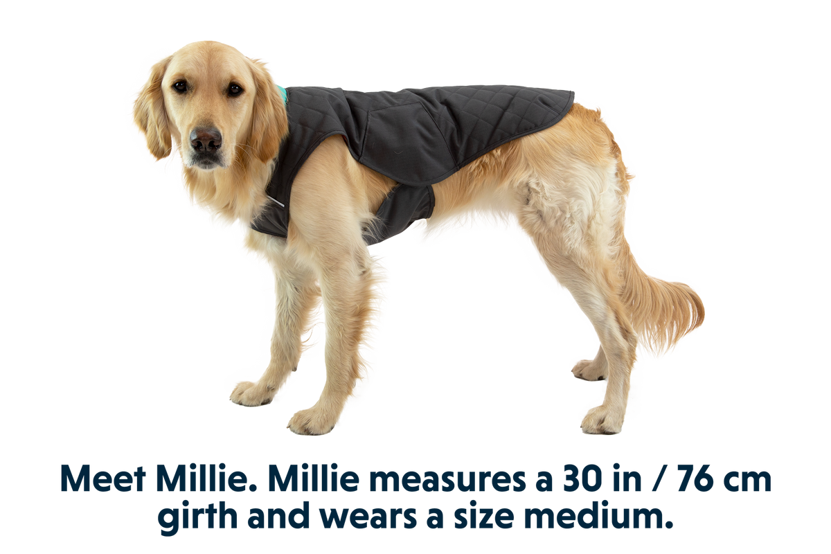 Stumptown™ Quilted Dog Vest product image