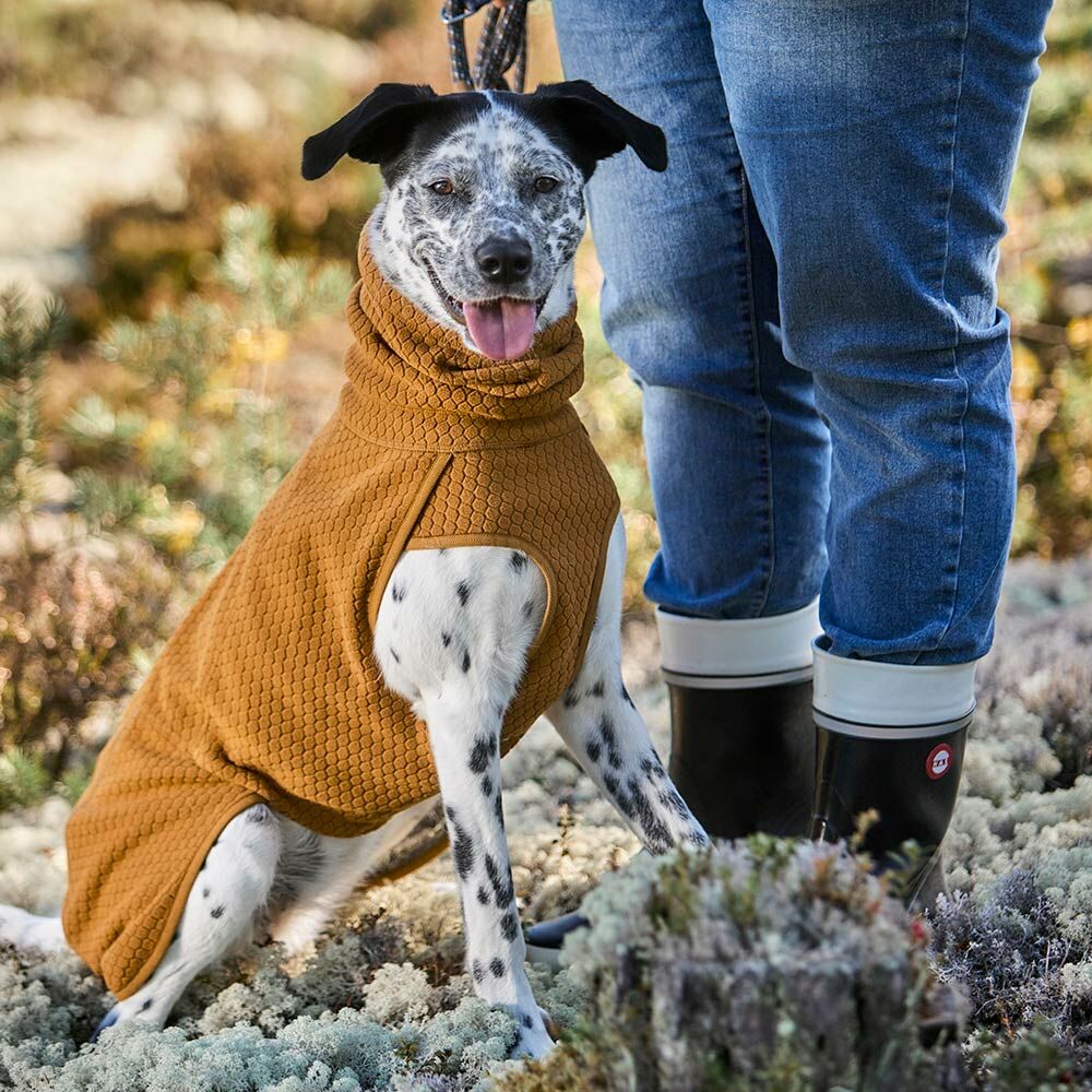 Warming Midlayer ECO Dog Jacket product image