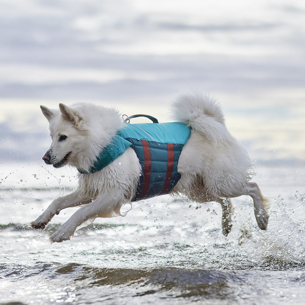 Life Savior ECO Life Vest product image