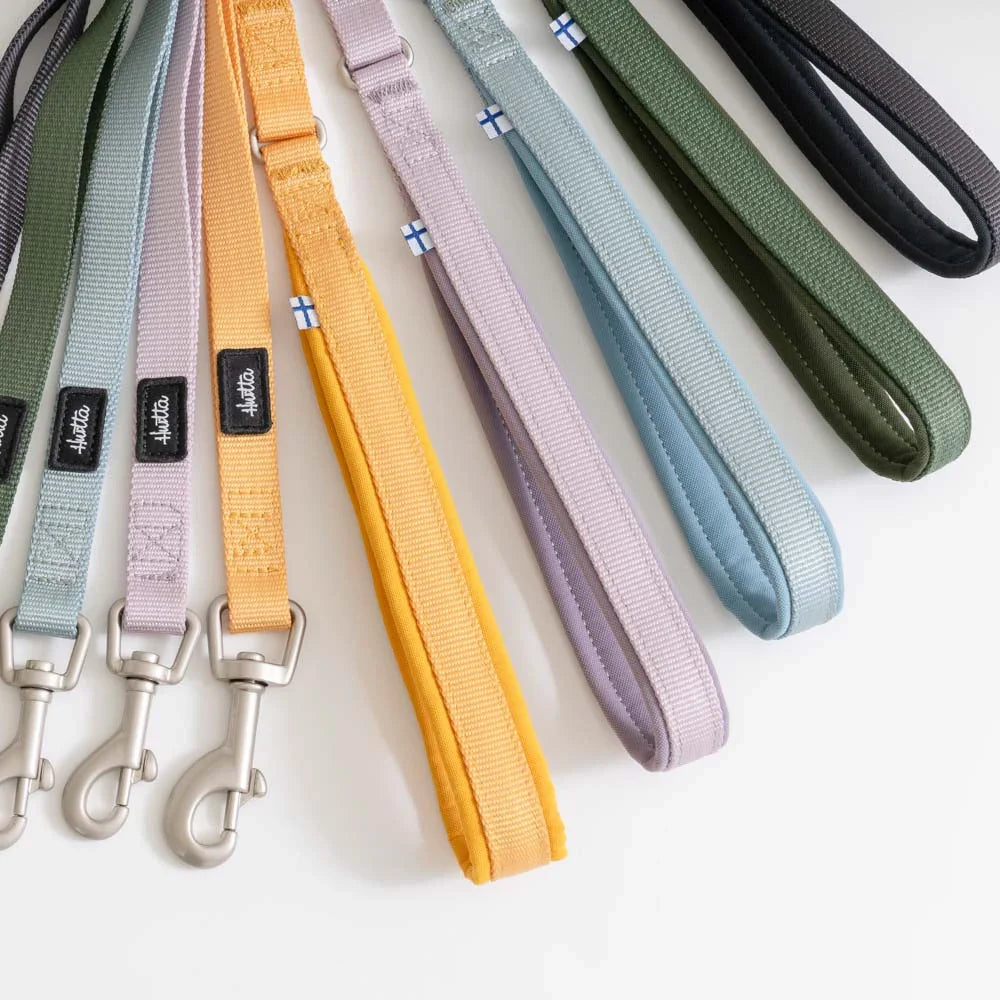 Seeker Standard Leash product image
