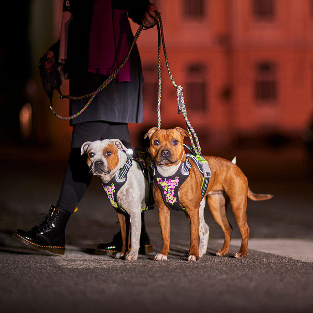 Weekend Warrior Neon Harness II product image